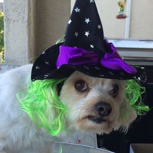 Meet your Posher, Patti